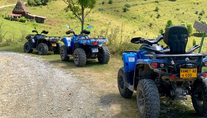 0dbc2511-2cb9-490d-b28c-25812052ad34